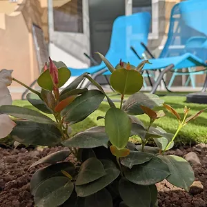 https://oceano-mare-tu-casa-en-maspalomas.in-canary-islands.com