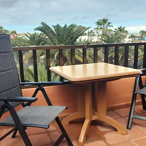 https://small-sunny-apartment.hotelsfuerteventura.org